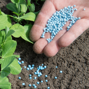 fertilizzante