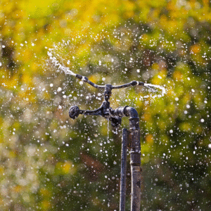 irrigatore elettrico01