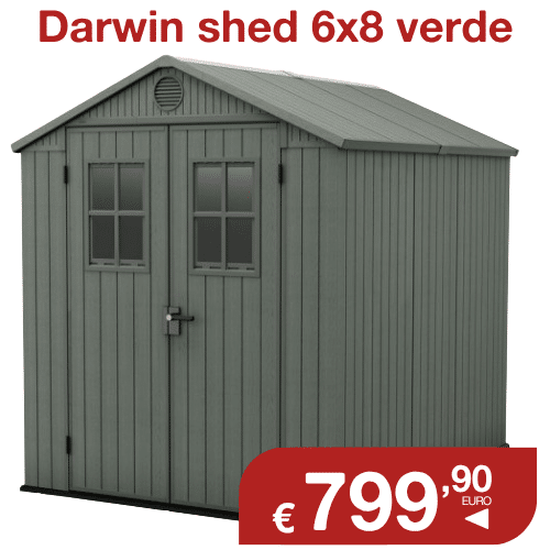 Darwin shed 6x8 green